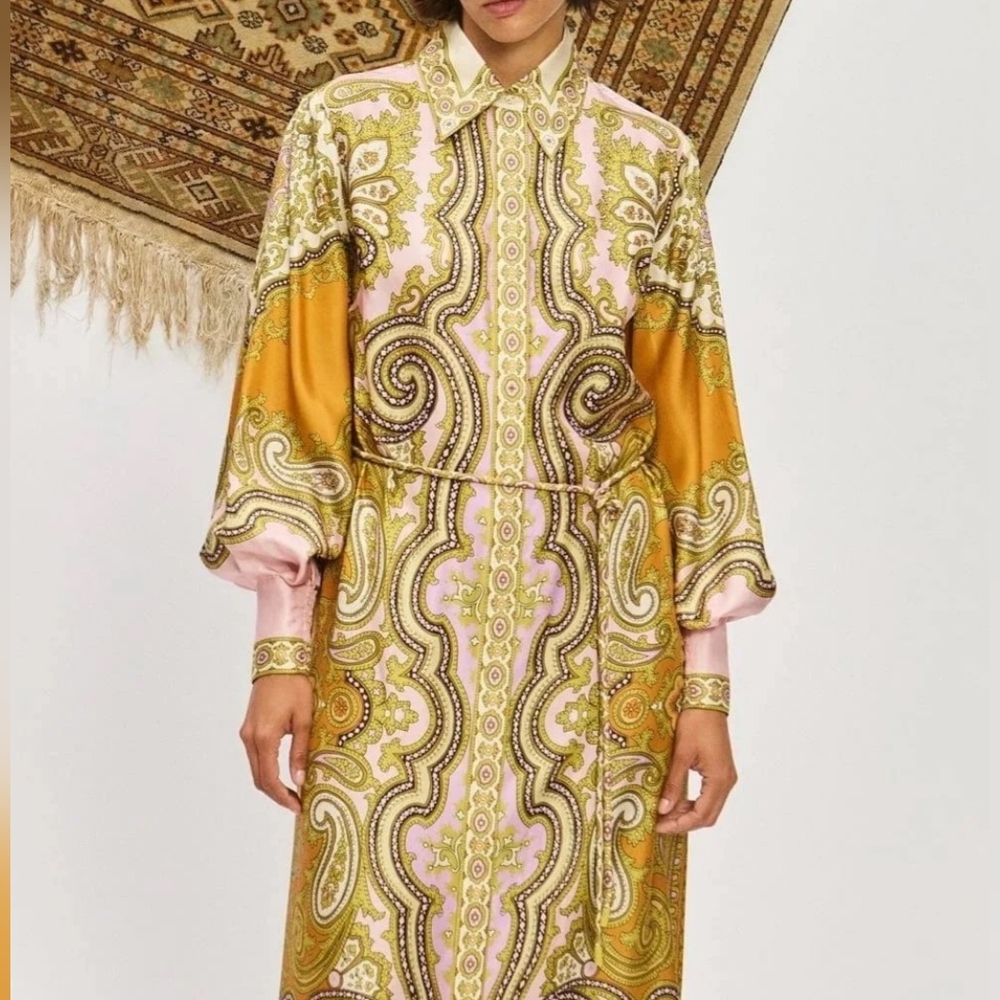 Alemais Clemenza Silk Shirtdress - Mult - Picture 5 of 16